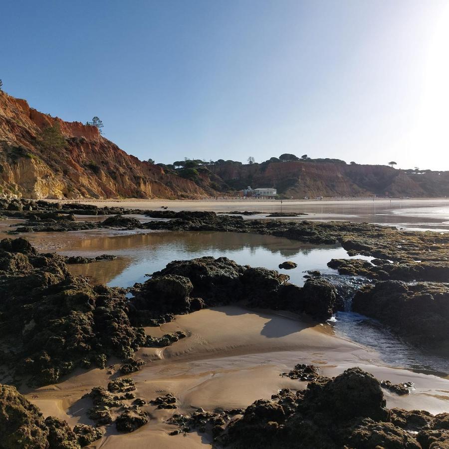 Paradise In Olhos D'Agua Beach Albufeira Kültér fotó